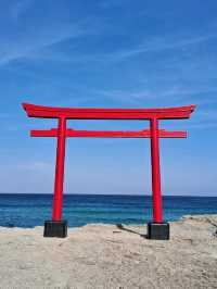 【静岡】伊豆の海と赤い鳥居が美しい白浜神社