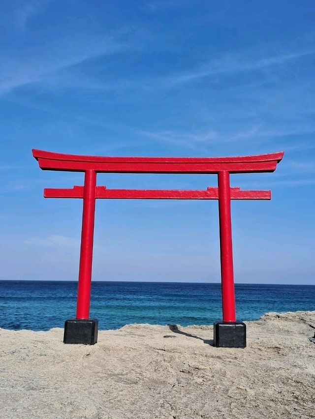 【静岡】伊豆の海と赤い鳥居が美しい白浜神社
