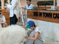 タイで癒されたいなら「Dog In Town Ari」へ！