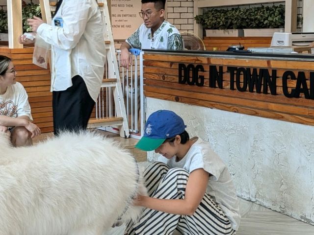 タイで癒されたいなら「Dog In Town Ari」へ！