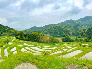 【Chiba】Oyama Senmaida: The Closest Scenic Terraced Rice Fields to Tokyo