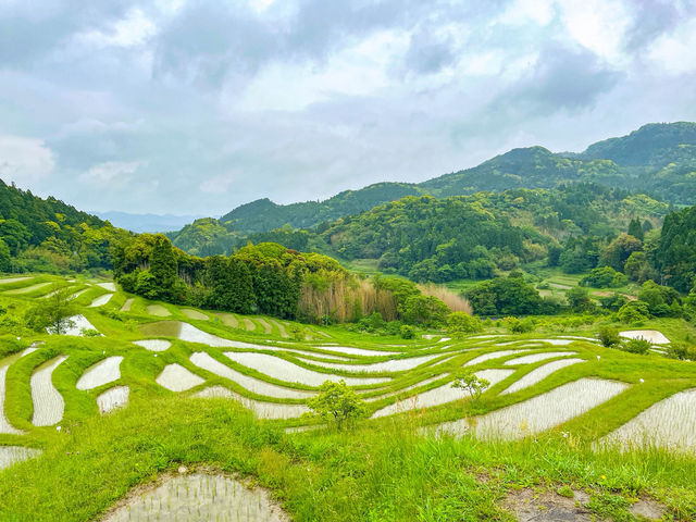 【千葉】東京から1番近い絶景棚田「大山千枚田」