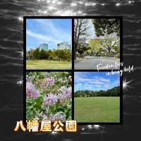 八幡屋公園｜環境優美綠化空間