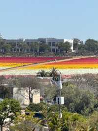 🏖️ Carlsbad, 샌디에고의 럭셔리 휴양지!