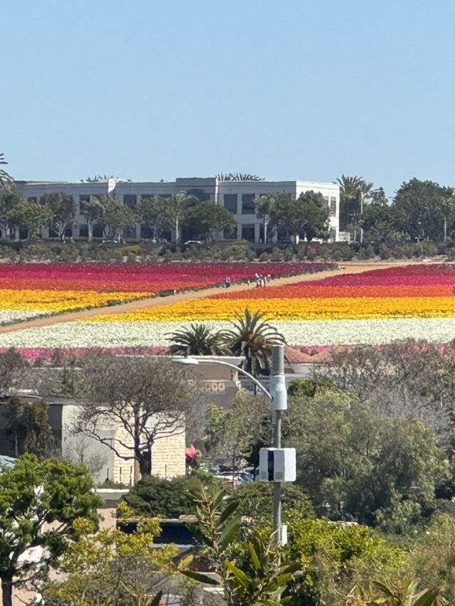 🏖️ Carlsbad, 샌디에고의 럭셔리 휴양지!