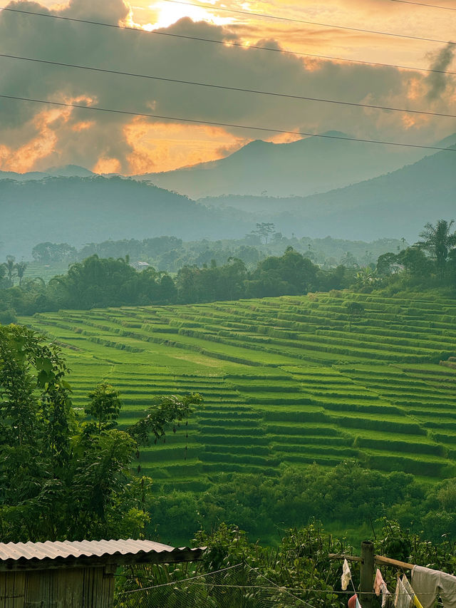Exploring Flores’ Majestic Rice Fields and the Spider Web Fields