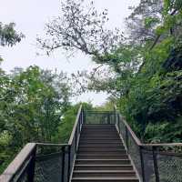 ～永春崗公園～綠意如織～