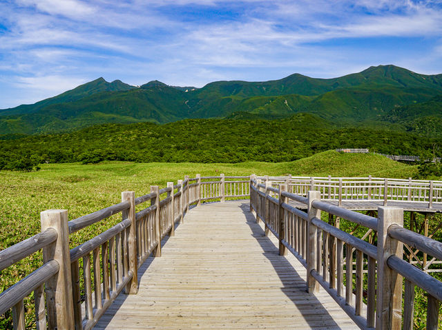 高架木道🌳🌲で自然を感じる旅