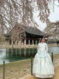 首爾必去之處@景福宮