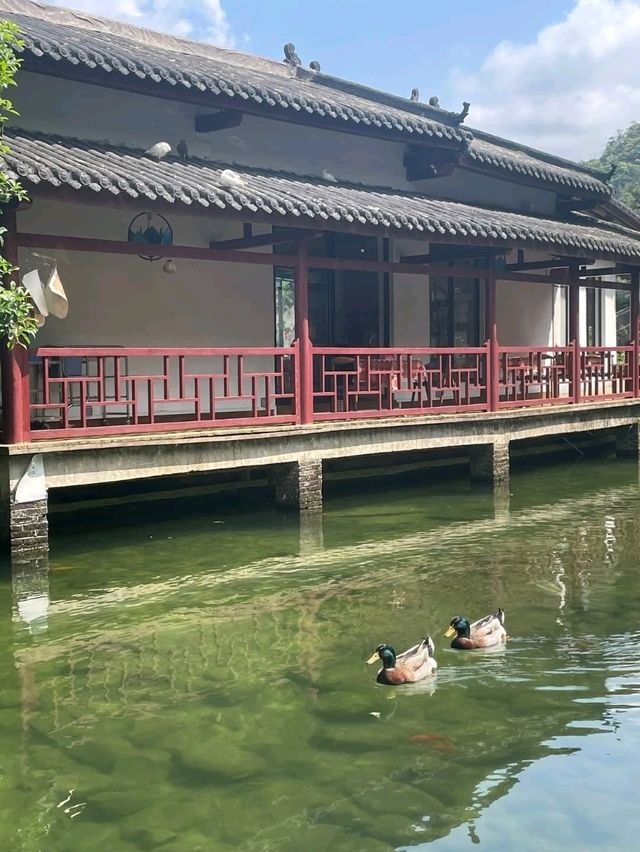 賀州好山好水好風景之旅