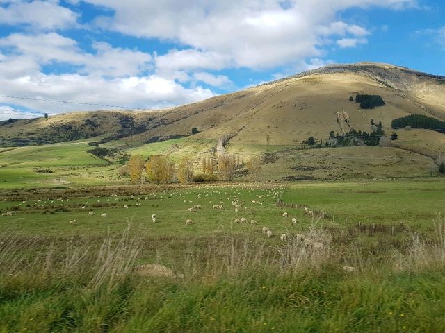 Kepler Track - one of New Zealand’s nine great walks,