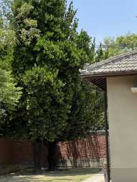 再見捌捌陸-臺灣眷村文化園區