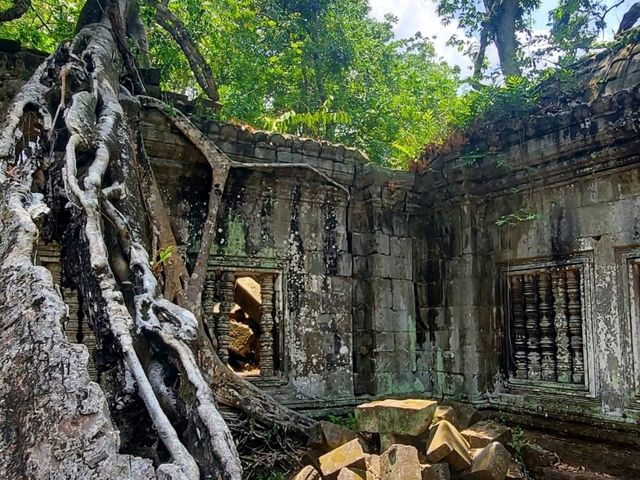 ラピュタの世界が現実に！ベンメリアで体感する神秘の遺跡旅