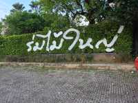 ร้านนั่งชิว ร่มไม้ใหญ่ แพร่ บรรยากาศดีเวอร์