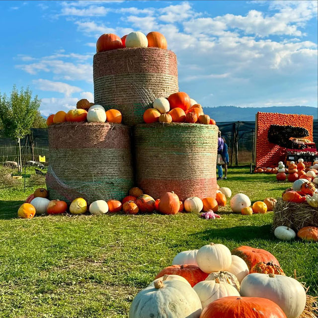 A Rustic Autumn Escape: My Visit to Junker Farm in Jona