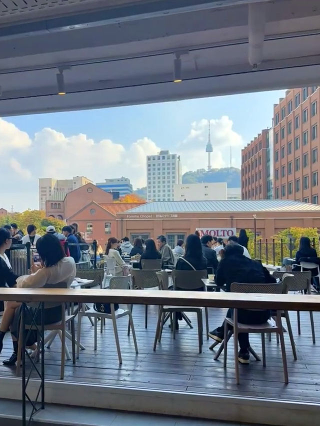 明洞💕人氣no.1咖啡店Pines