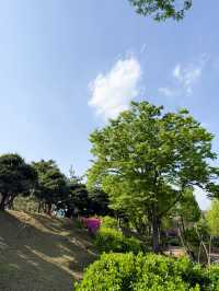韓國景點🇰🇷寧靜休閑的小公園🌳