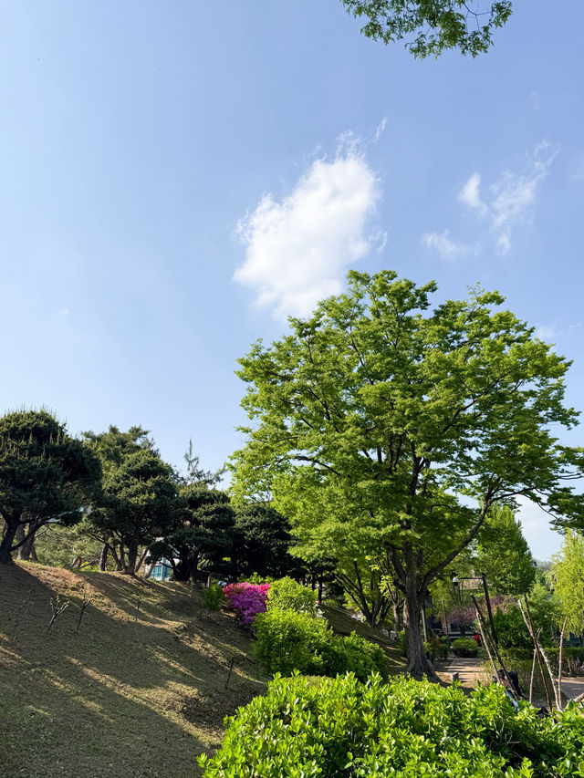 韓國景點🇰🇷寧靜休閑的小公園🌳
