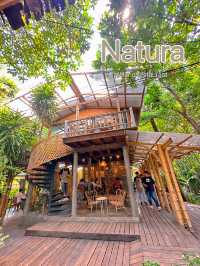 ร้าน Natura Cafe ☕️🌱