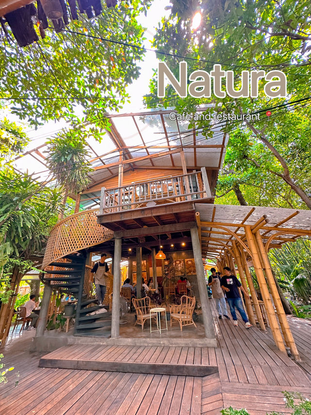ร้าน Natura Cafe ☕️🌱