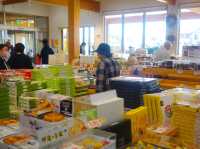 【大崎市古川】道の駅おおさき 遊具もある大きな休憩所☕️