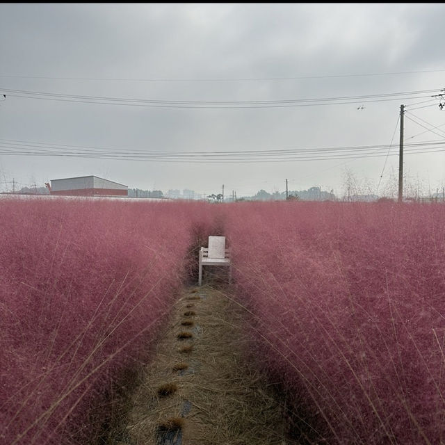 トソンマウル
