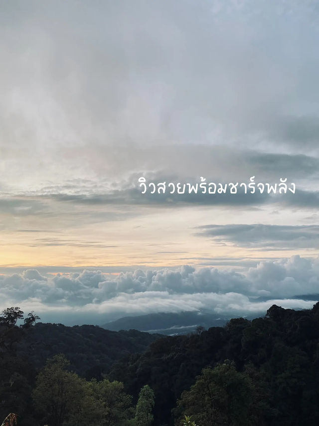 📸 How to ถ่ายรูปที่จุดชมวิวดอยอินทนนท์ให้ปัง! ⛰️
