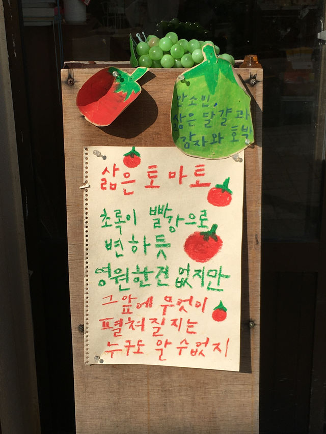 제주 여행 이모저모 😖