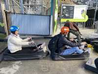 紐西蘭皇后鎮～luge 滑車真好玩～原來頭的大小決定安全帽顏色