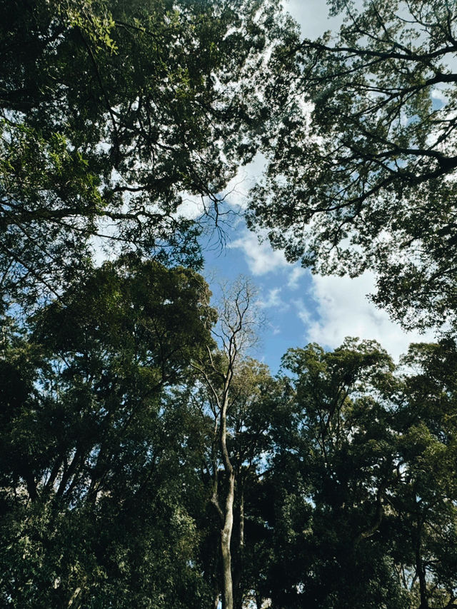 大阪近鐵奈良線｜歷史與自然的橙色古都之旅