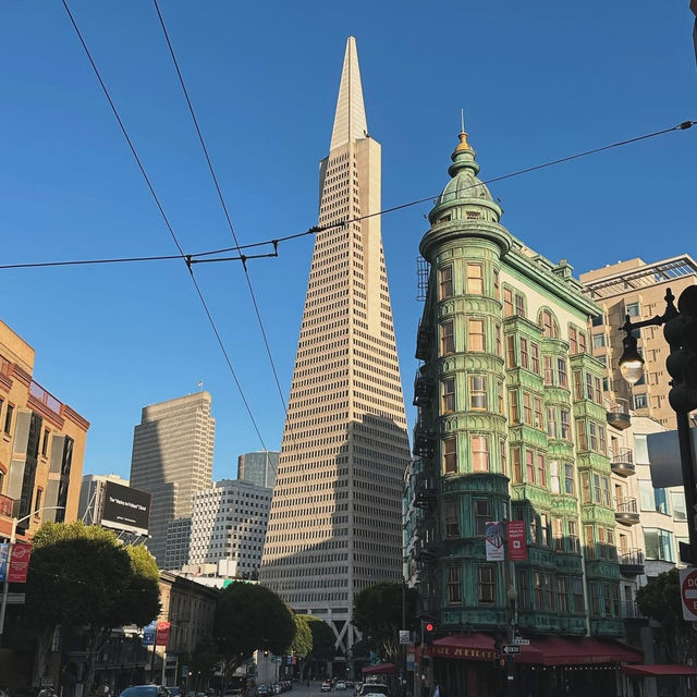 Whispers of Wonder: Wandering Among San Francisco’s Icons