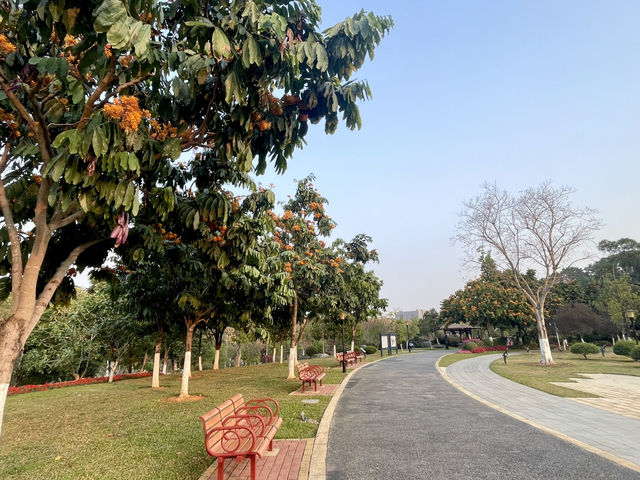 東莞植物園～賞花必去！