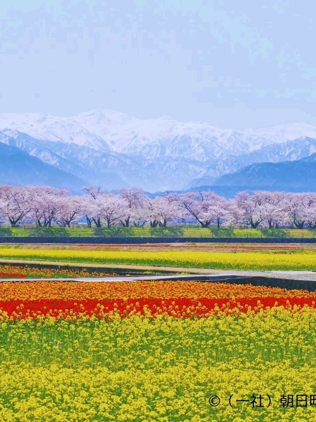 Time-Traveler’s Haven: Kanazawa’s Quiet Elegance