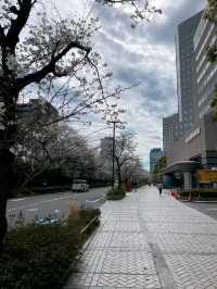 Kawasaki – Japan’s Urban Pulse with a Cultural Soul