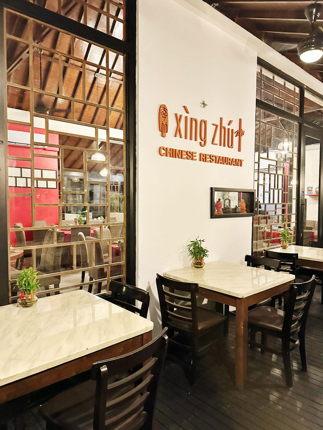 Dim Sum Dreams & Bamboo Bliss – Xing Zhu’s Hidden Garden Feast