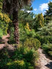 love scouting for a good walk that is full of nature and a complete opposite experience to a grey