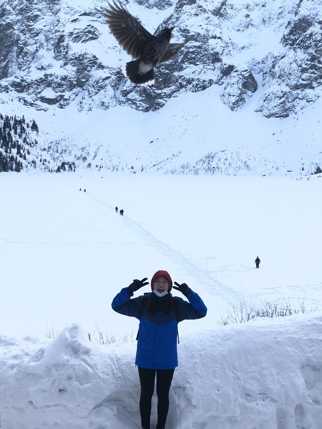 【波蘭最夢幻雪景湖泊❄️ Morskie Oko 雪地健行體驗 🇵🇱】
