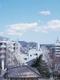 從大阪到仙台賞櫻最快交通：日本國內線飛機攻略