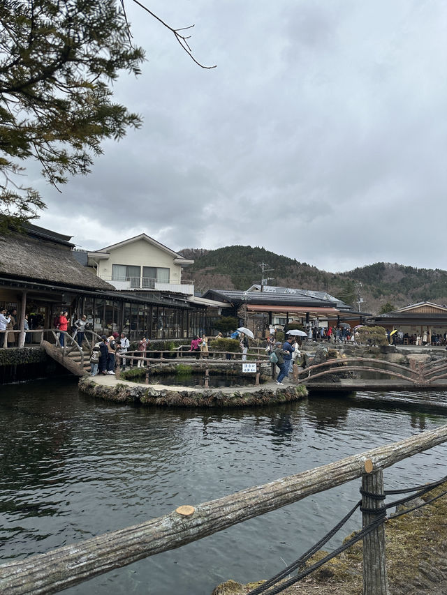 Oshino Hakkai