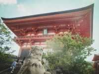 Japan – The Taste of Spring in Every Petal