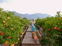 move to mountain cafe