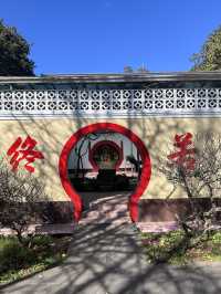 alishan national park