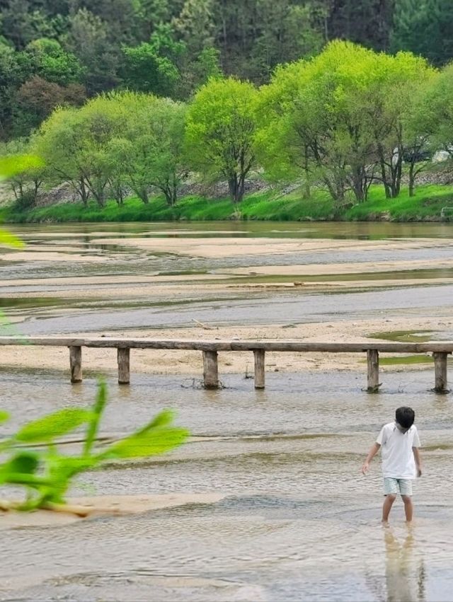 무섬마을 계절ㆍ미각여행[영주 무섬마을]