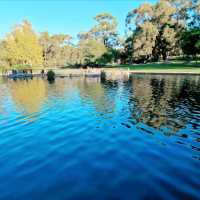 Wandering Through Wonder: A Walk in Kings Park, Perth