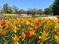 America’s Front Yard: National Mall & Memorial Parks