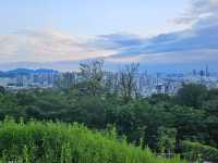 Namsan Park: The Road Less Traveled to Seoul Tower