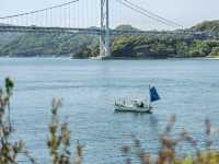Onomichi: Petal Paths and Sea Views