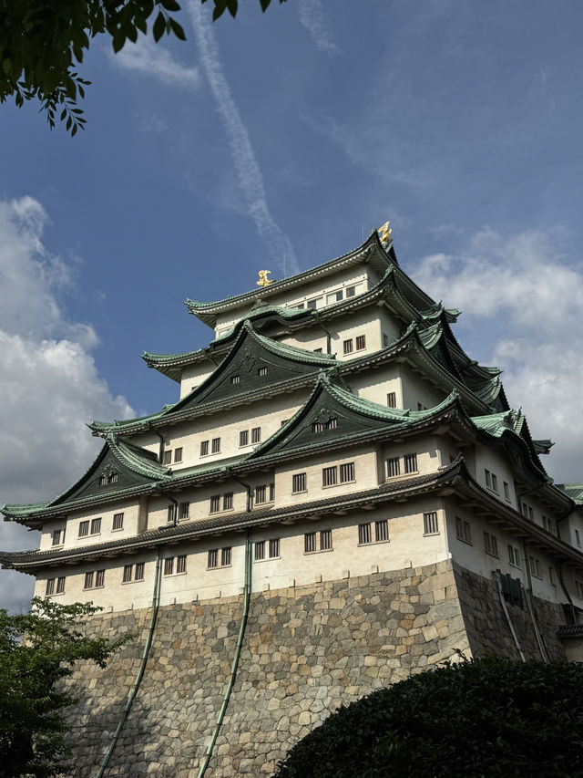 名古屋、下呂市、飛驒高山及更多地區的8日行程