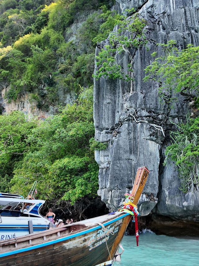 Phi phi paradise accommodations 