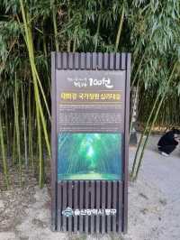 울산 하루 코스: 오전엔 숲, 오후엔 바다, 밤엔 관람차